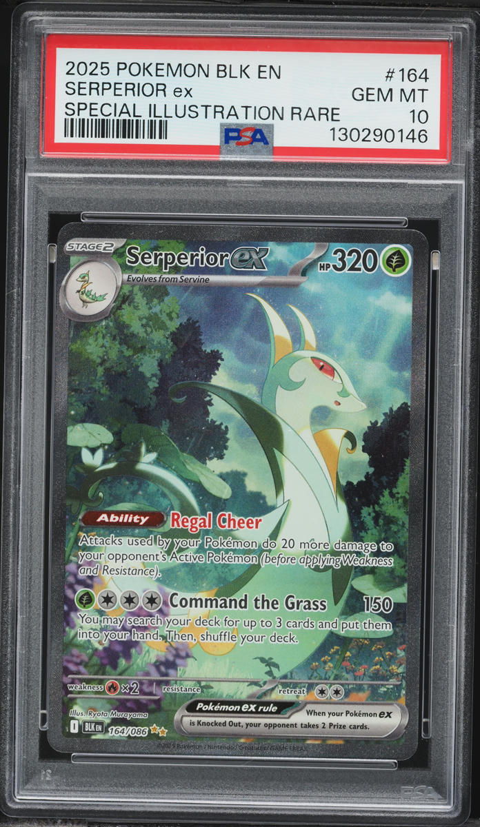 2025 Pokemon Scarlet & Violet Black Bolt SIR Serperior EX #164 PSA 10 GEM MINT