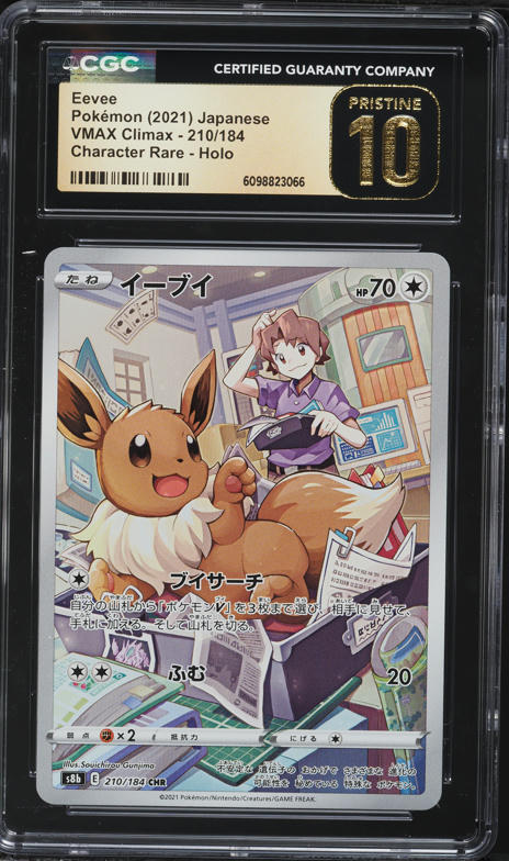 【即購入OK】♪最終値下げ♪ NICENESS STORMER セットアップ 2021 Pokemon Japanese SWSH VMAX Climax Full Art Eevee #210 BGS 10