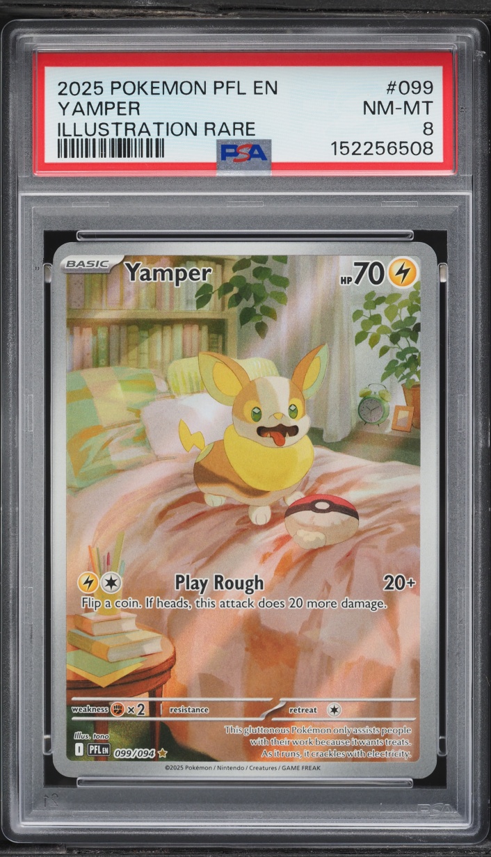 2025 Pokemon Mega Phantasmal Flames IR Yamper #099 PSA 8 NM-MT