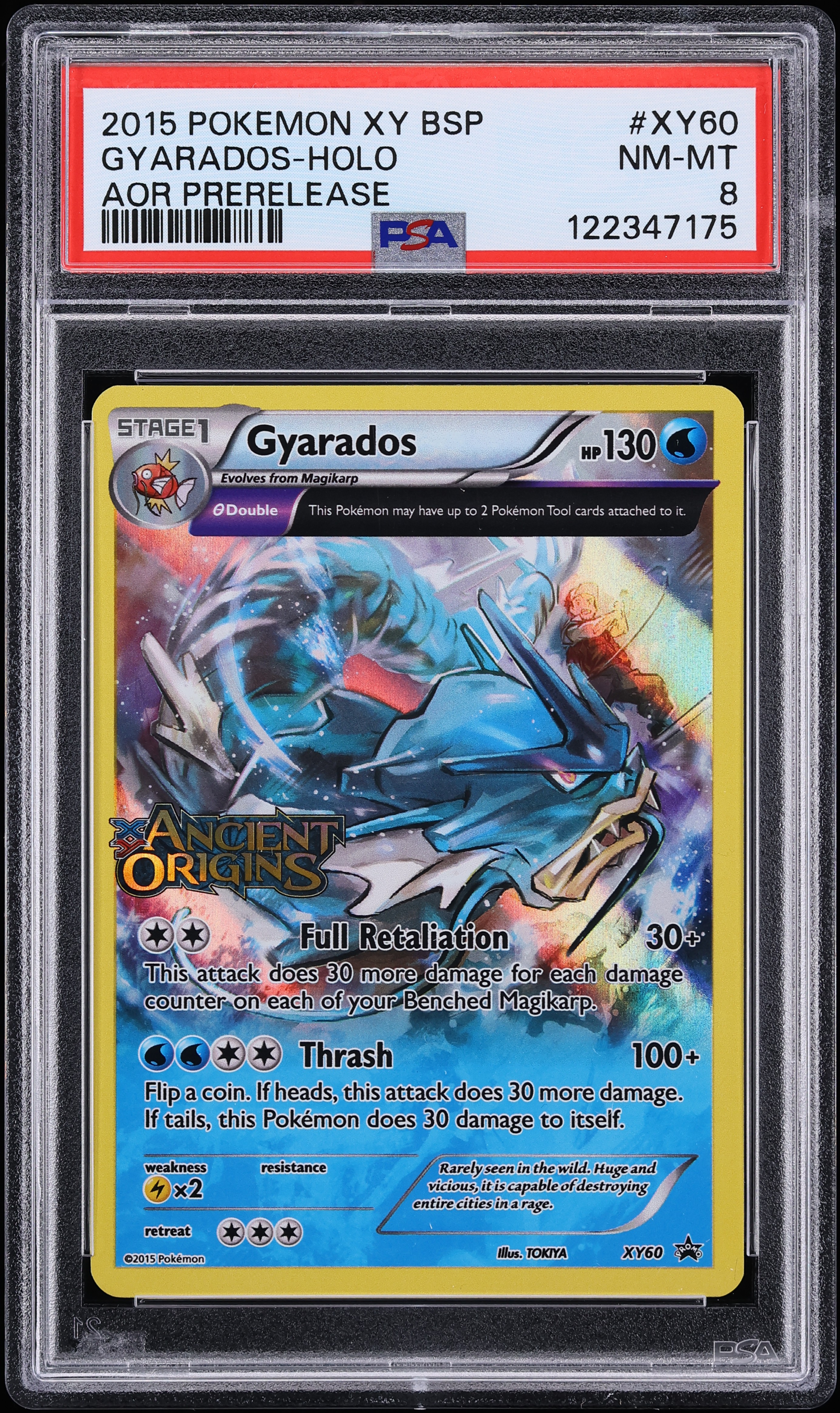 2015 Pokemon XY Promo Ancient Origins Prerelease Staff Holo Gyarados #XY60 PSA 8 NM-MT