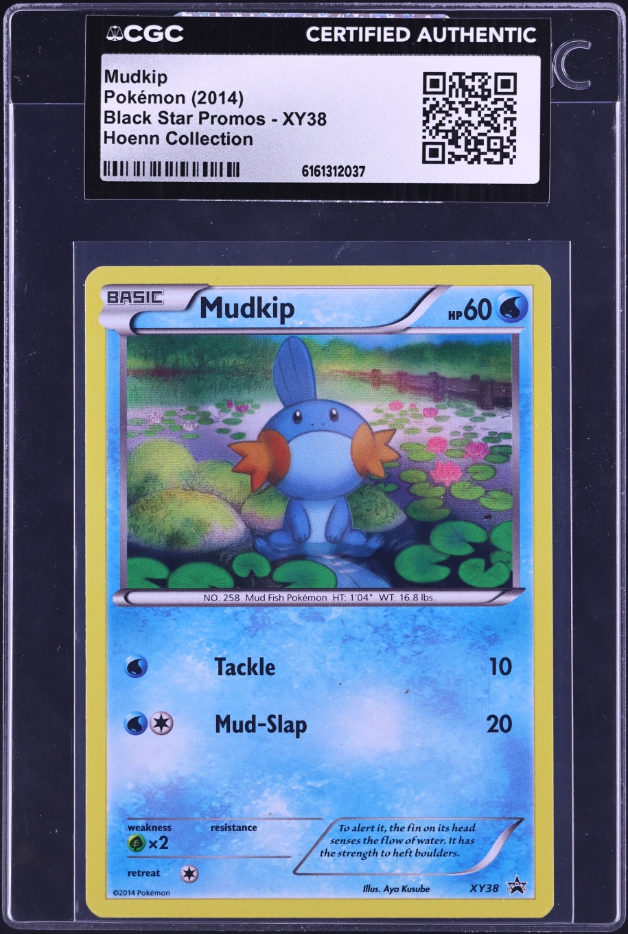 2014 Pokemon XY Black Star Promo Hoenn Collection Mudkip #XY38 CGC AUTH