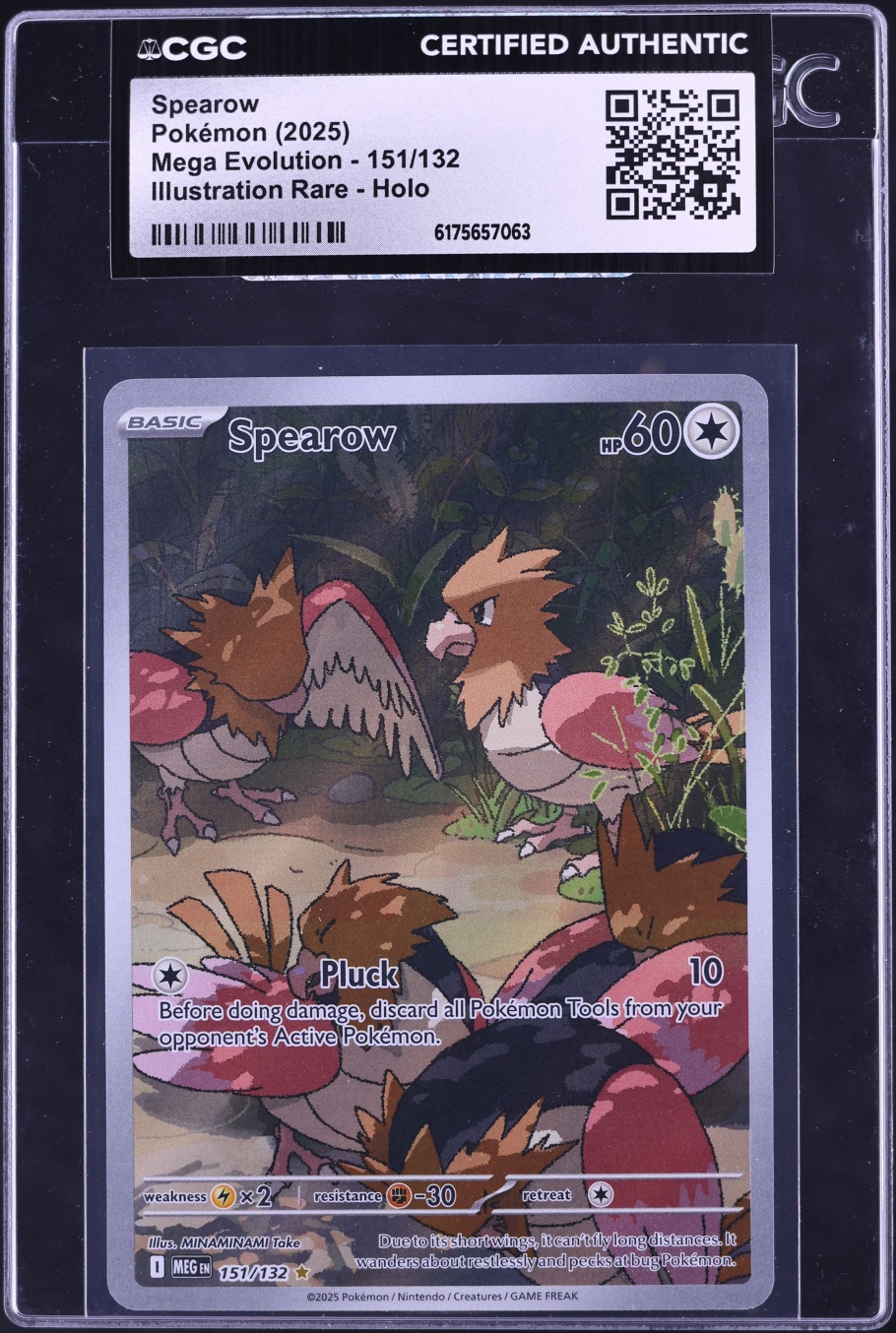 2025 Pokemon Mega Evolution IR Spearow #151 CGC AUTH