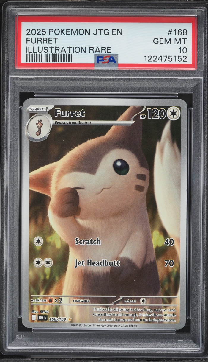 2025 Pokemon Scarlet & Violet Journey Together IR Furret #168 PSA 10 GEM MINT
