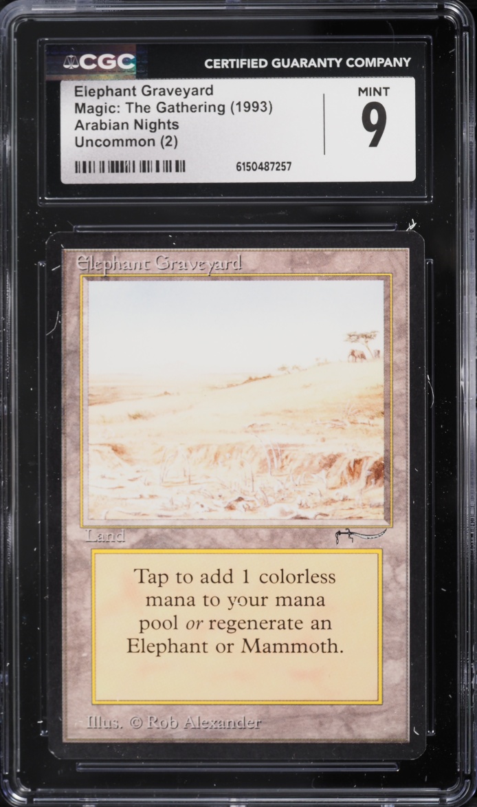 1993 Magic The Gathering MTG Arabian Nights Elephant Graveyard CGC 9 MINT