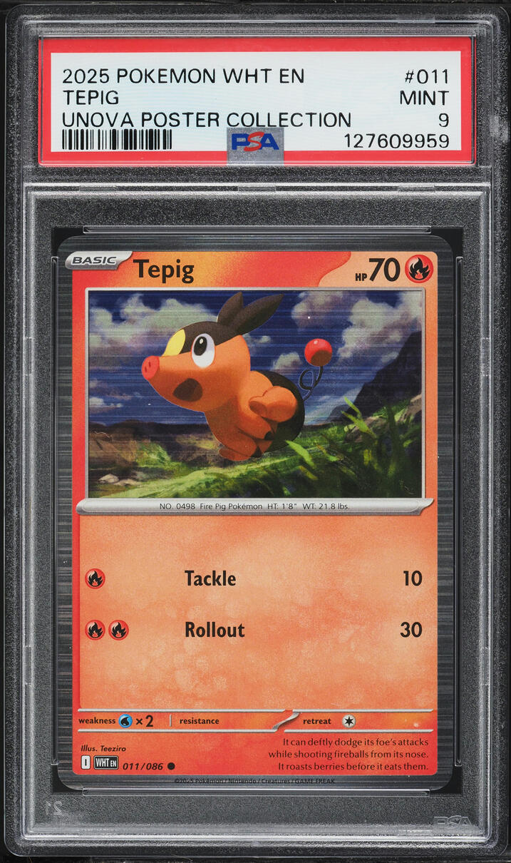 2025 Pokemon Scarlet & Violet White Flare Poster Collection Tepig #11 PSA 9 MINT