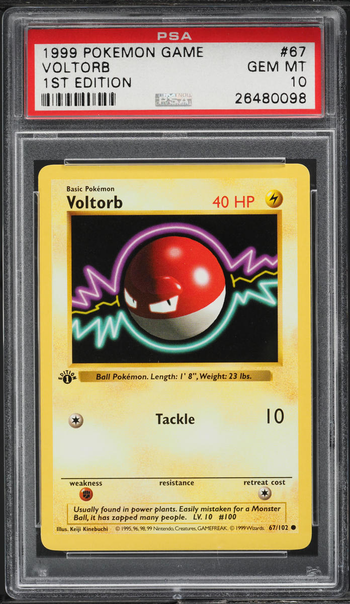 1999 Pokemon Base Set 1st Edition Voltorb #67 PSA 10 GEM MINT