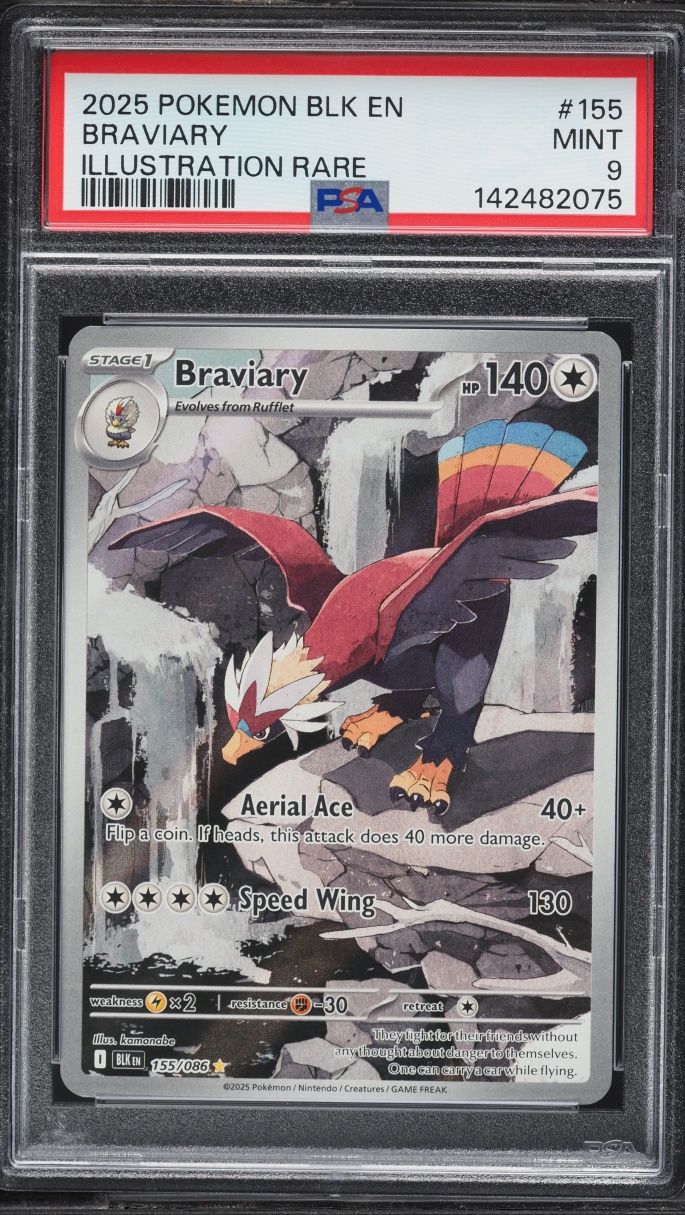 2025 Pokemon Scarlet & Violet Black Bolt IR Braviary #155 PSA 9 MINT