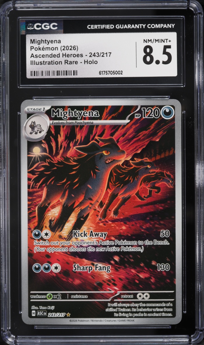 2026 Pokemon Mega Evolution Ascended Heroes IR Mightyena #243 CGC 8.5 NM-MT+