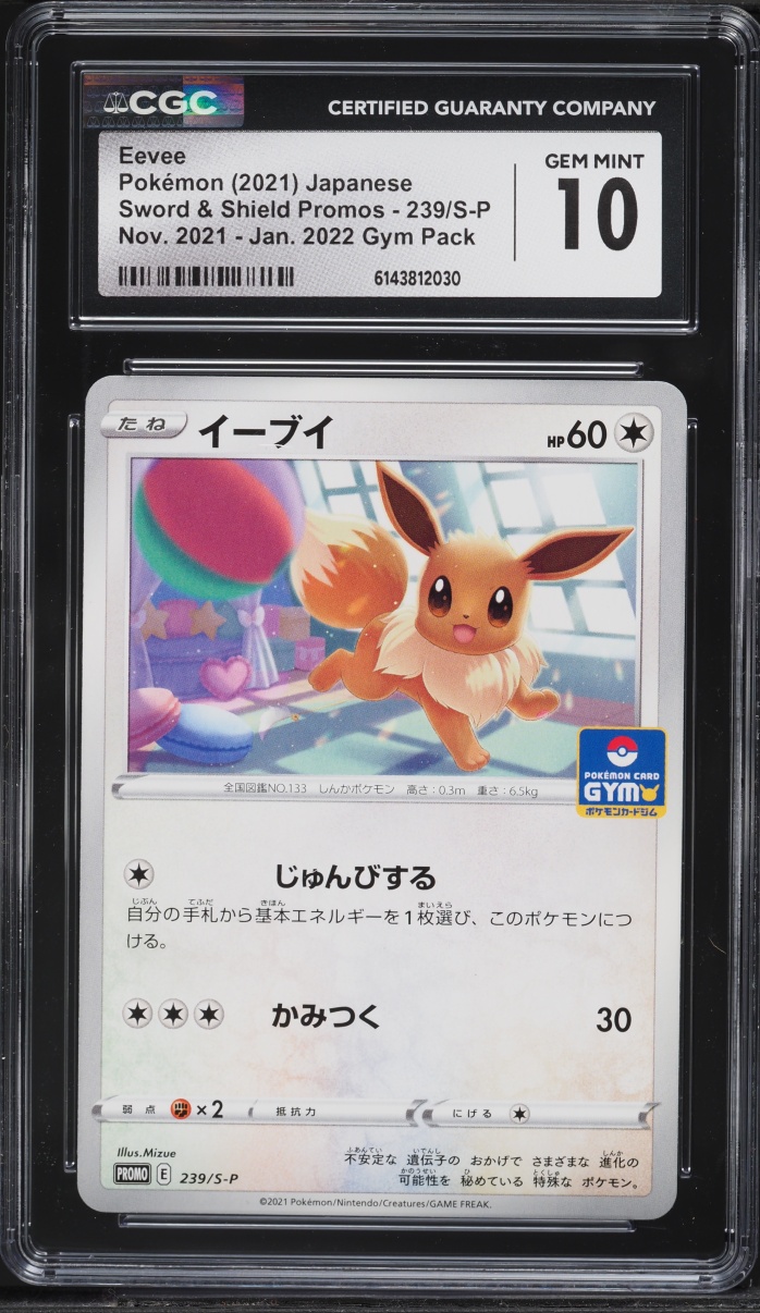 2021 Pokemon Japanese Sword & Shield Promo Gym Pack Eevee #239 CGC 10 GEM MINT