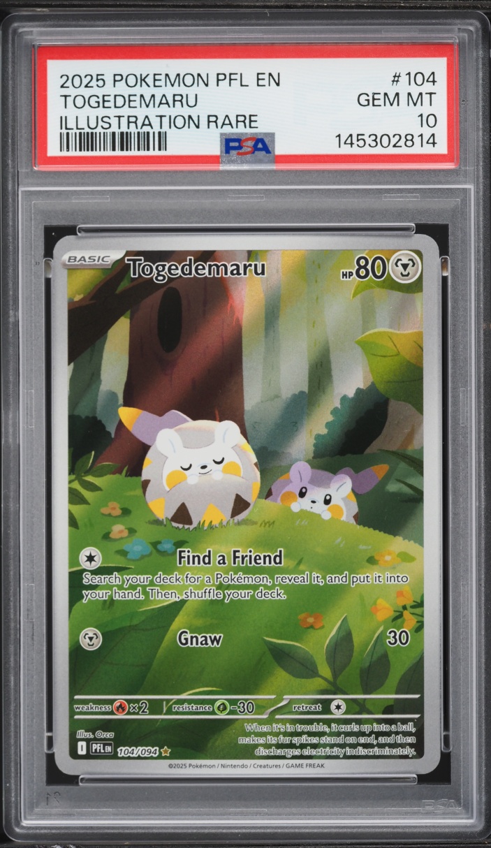 2025 Pokemon Mega Phantasmal Flames IR Togedemaru #104 PSA 10 GEM MINT