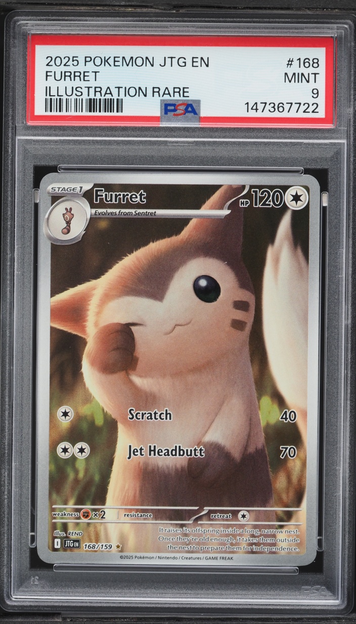 2025 Pokemon Scarlet & Violet Journey Together IR Furret #168 PSA 9 MINT
