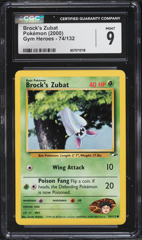 2023 Pokemon Sword & Shield Crown Zenith Full Art Poochyena #GG33