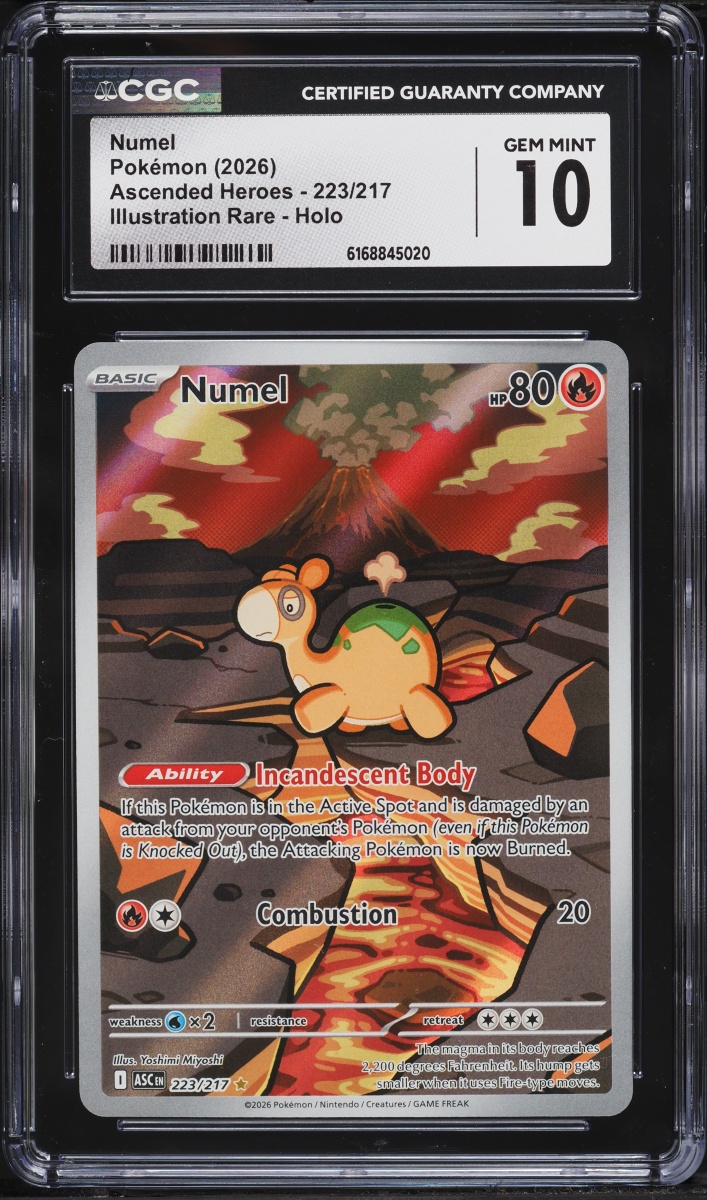 2026 Pokemon Mega Evolution Ascended Heroes IR Numel #223 CGC 10 GEM MINT