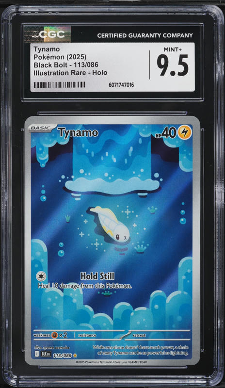 2025 ポケモン ゼクロムex #174 PSA 10 PSA 10 PSL Zekrom ex BWR 174/086 Black Bolt sv11B Pokemon