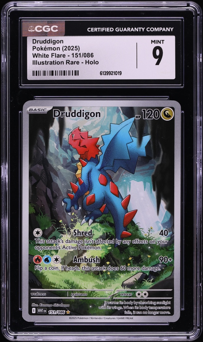 2025 Pokemon Scarlet & Violet White Flare IR Druddigon #151 CGC 9 MINT