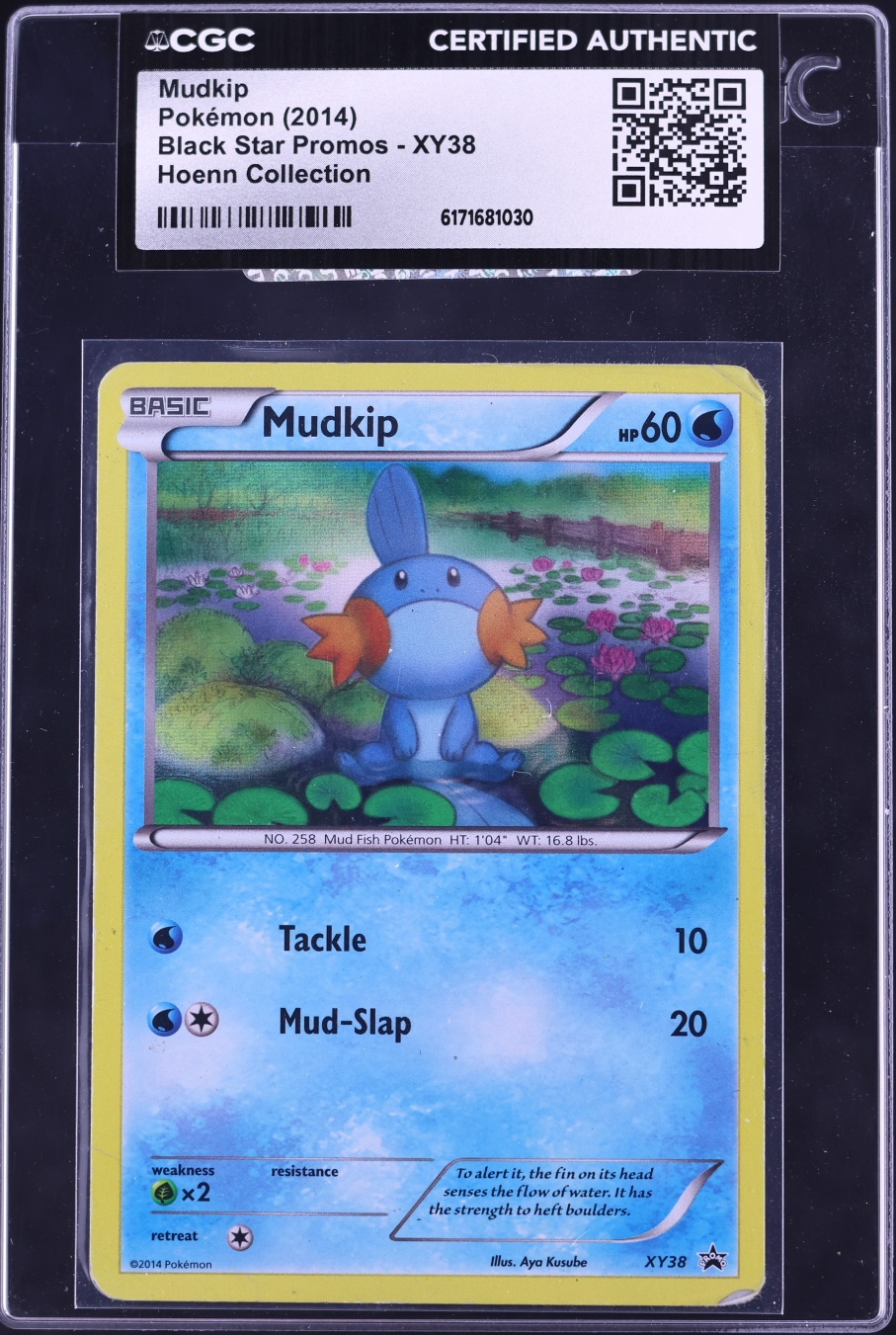 2014 Pokemon XY Promo Hoenn Collection Mudkip #XY38 CGC AUTH