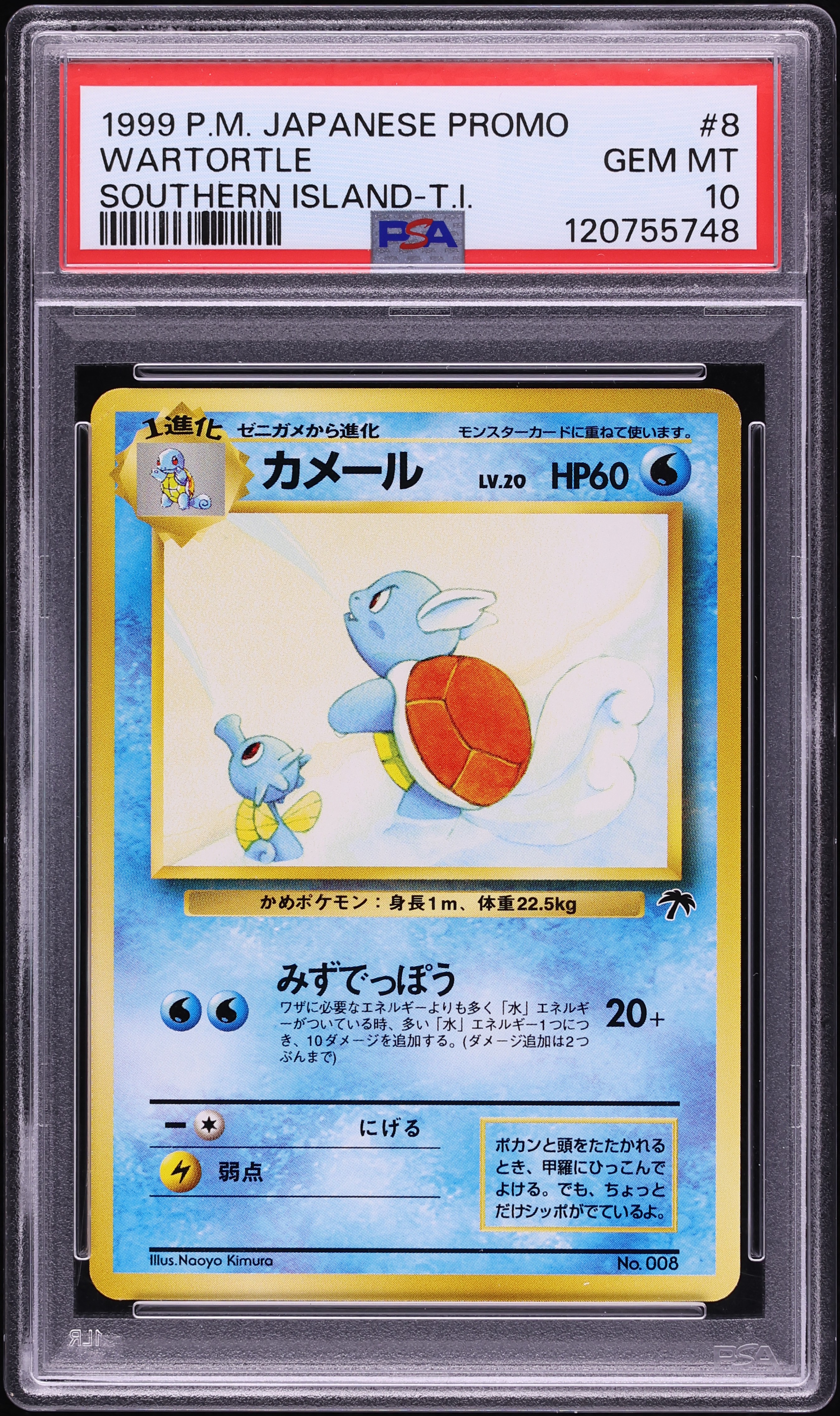 1999 Pokemon Japanese Promo Southern Island T.I. Wartortle #8 PSA 10 GEM MINT
