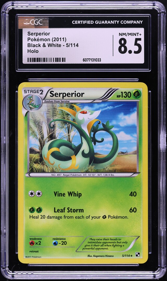 2011 Pokemon Black & White Holo Serperior 5 CGC 8.5 NMMT+ on Fanatics
