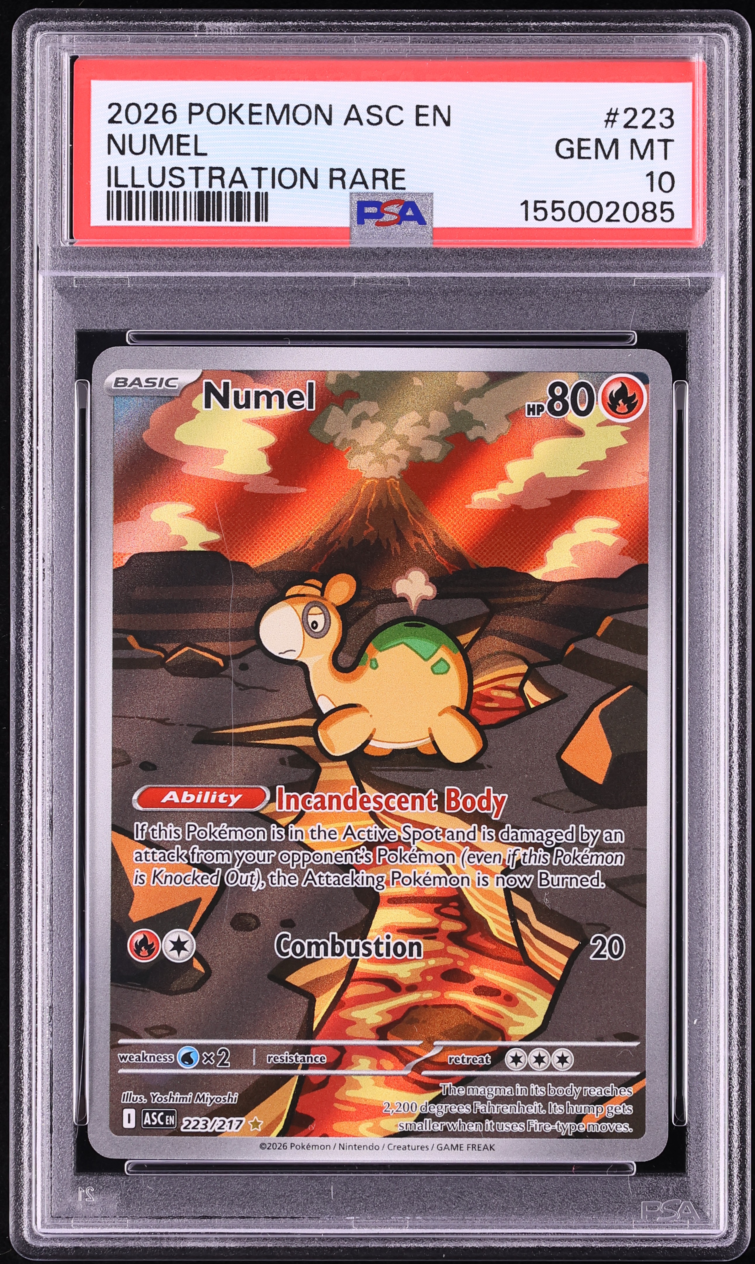 2026 Pokemon Mega Evolution Ascended Heroes IR Numel #223 PSA 10 GEM MINT