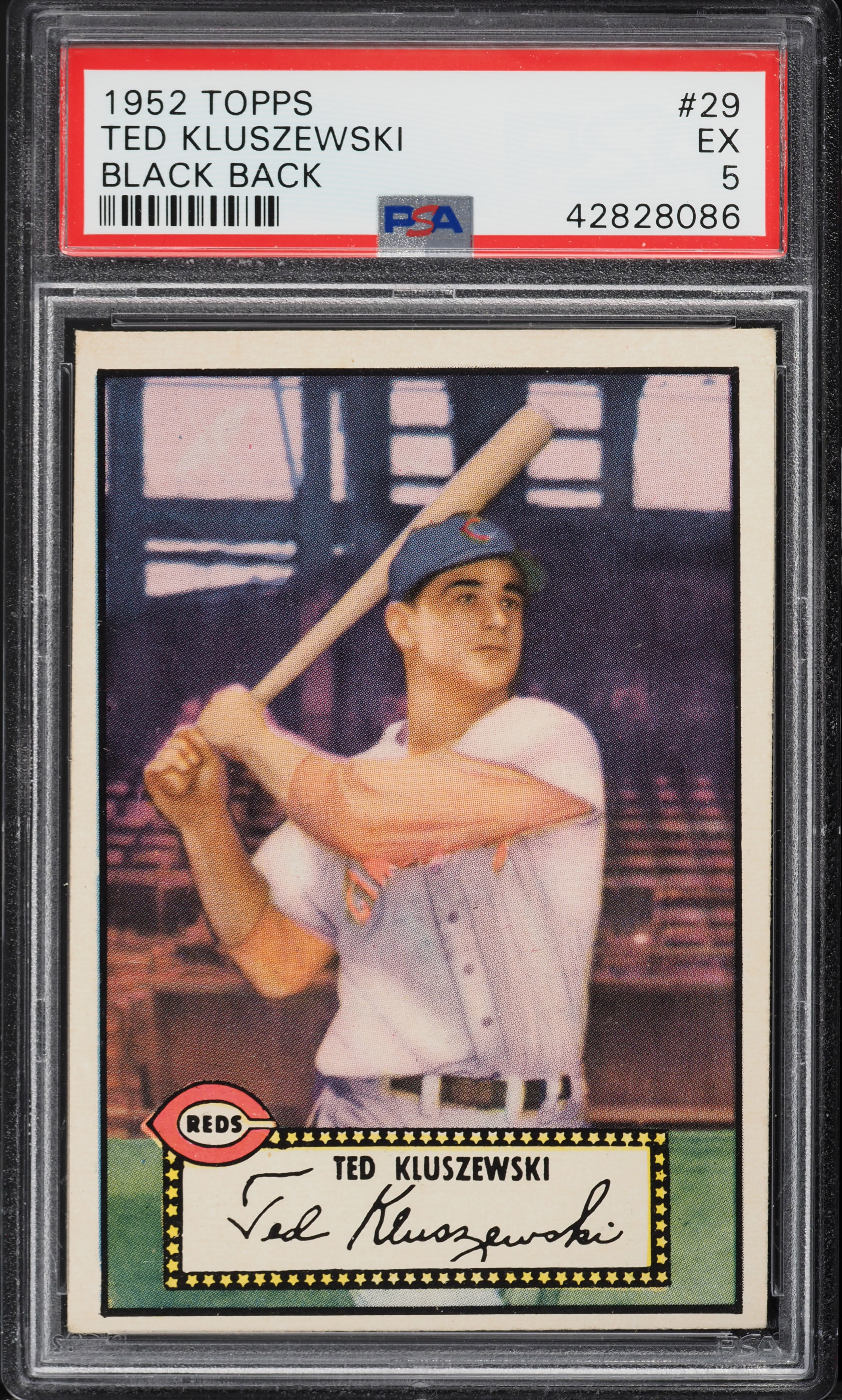 1952 Topps Ted Kluszewski BLACK BACK #29 PSA 5 EX