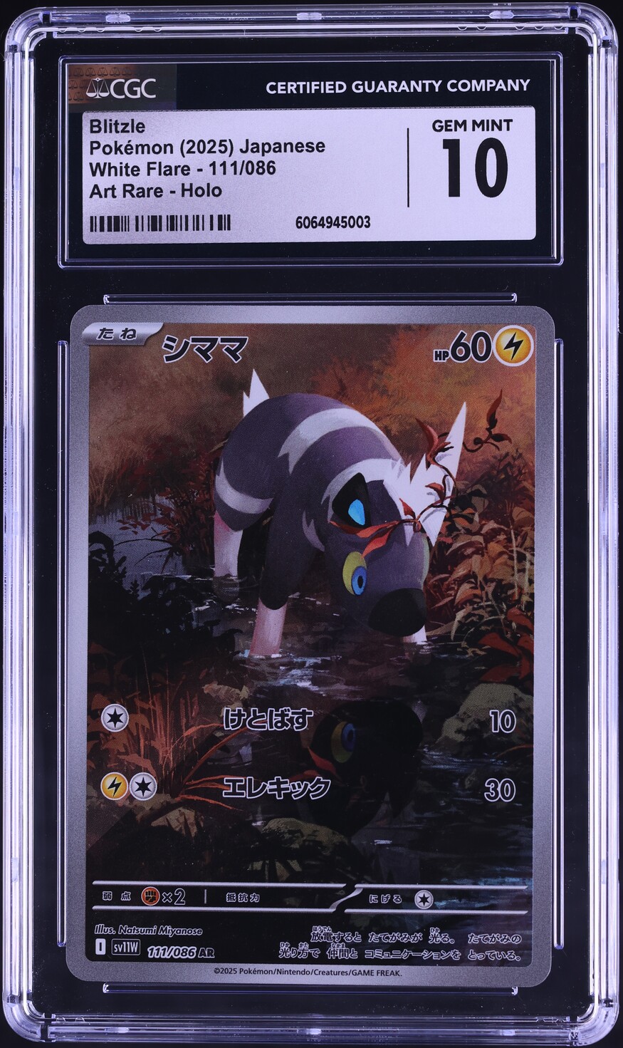 2025 Pokemon Japanese SV White Flare AR Blitzle #111 CGC 10 GEM MINT