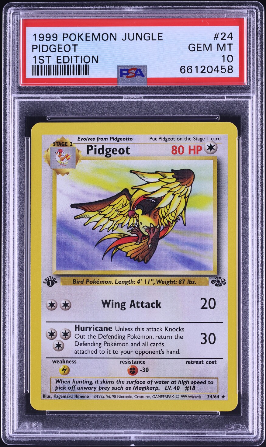 1999 Pokemon Jungle 1st Edition Pidgeot #24 PSA 10 GEM MINT