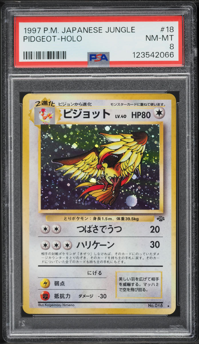 1997 Pokemon Japanese Jungle Holo Pidgeot #18 PSA 8 NM-MT