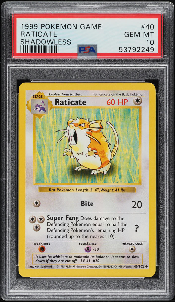 1999 Pokemon Base Set Shadowless Raticate #40 PSA 10 GEM MINT
