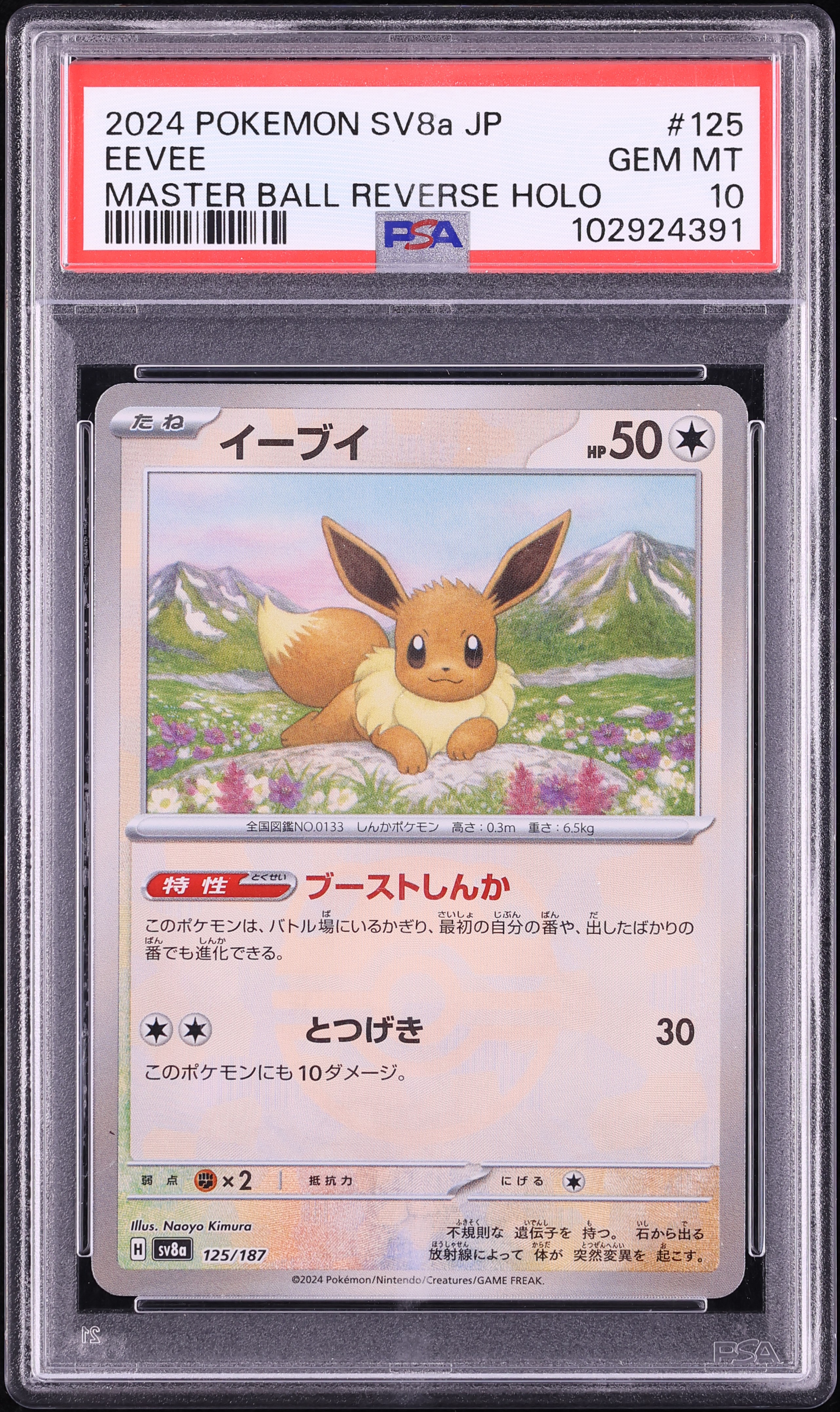 2024 Pokemon Japanese SV Terastal Fest Ex Master Ball Reverse Holo Eevee #125 PSA 10 GEM MINT