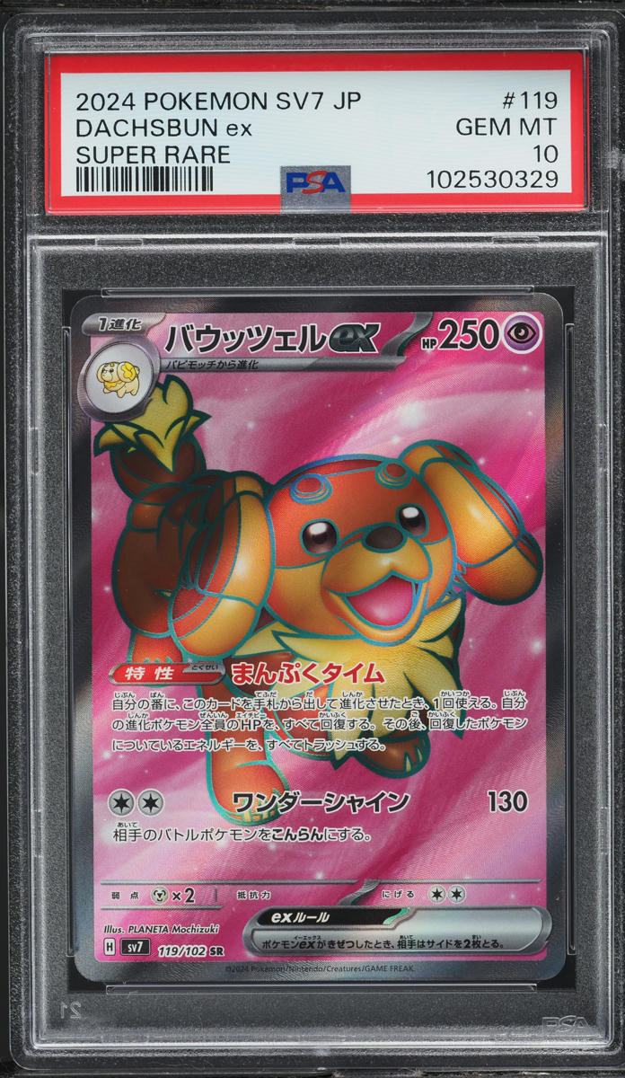 2024 Pokemon Japanese SV Stellar Miracle SR Dachsbun Ex #119 PSA 10 GEM MINT