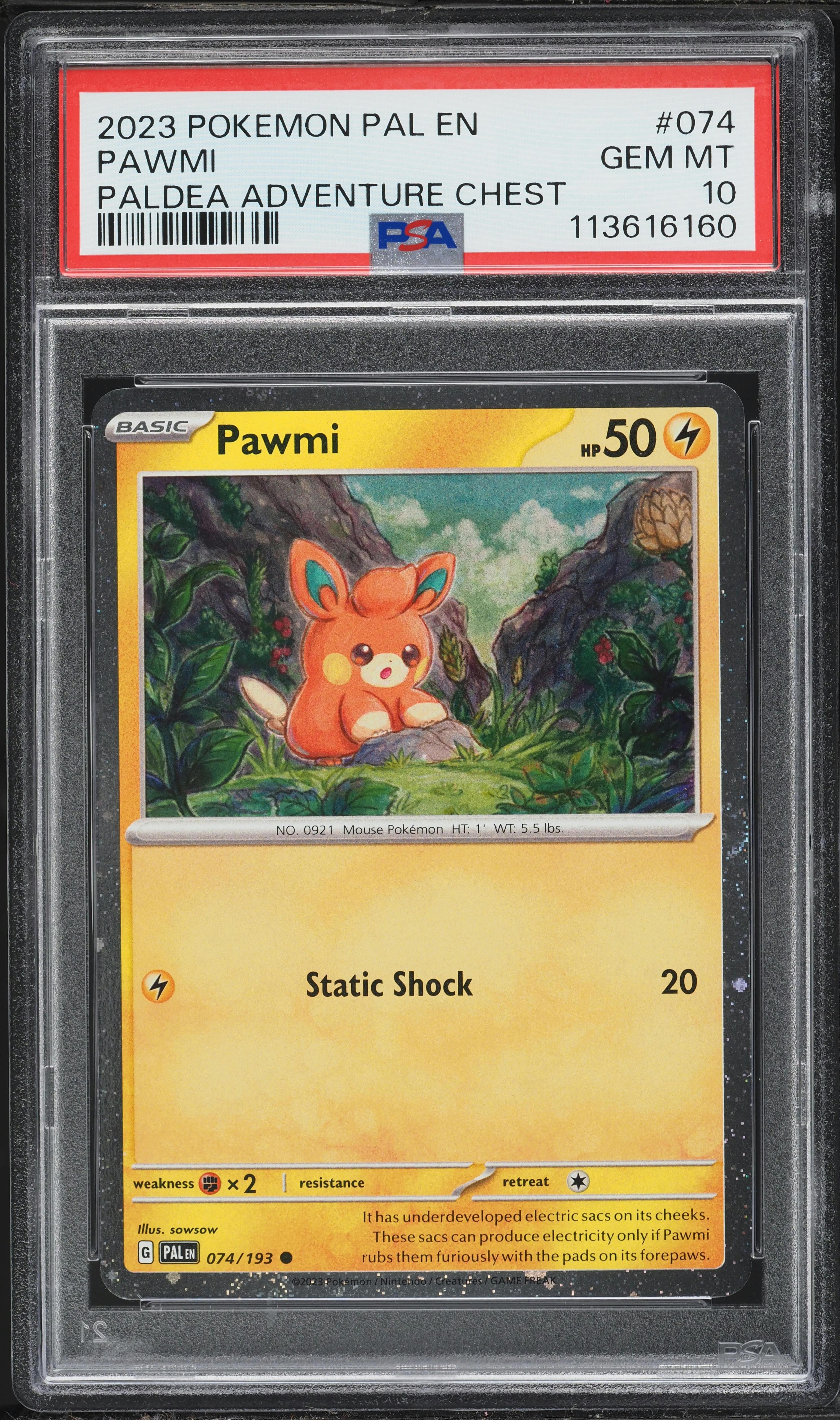 2024 Pokemon Scarlet & Violet Promo Paldea Adventure Chest Pawmi #74 PSA 10 GEM MINT