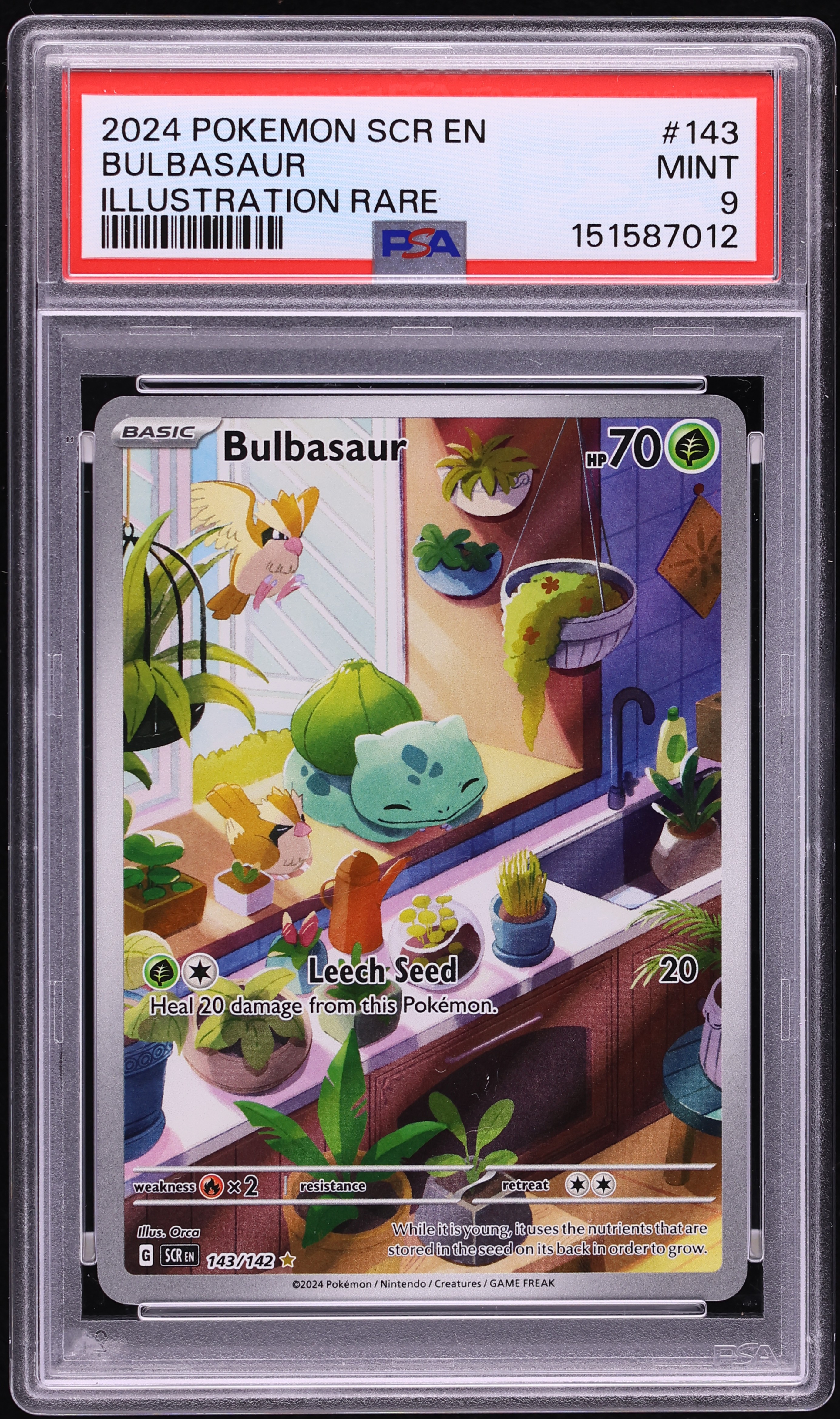 2024 Pokemon Scarlet & Violet Stellar Crown IR Bulbasaur #143 PSA 9 MINT