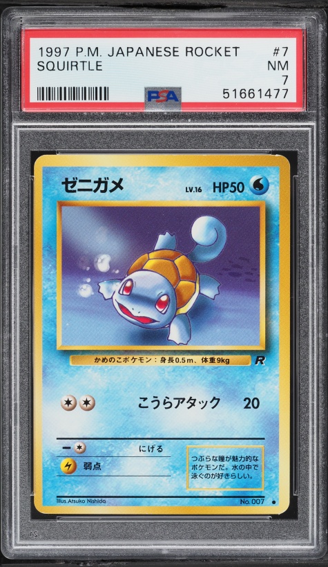 ゼニガメ PSA