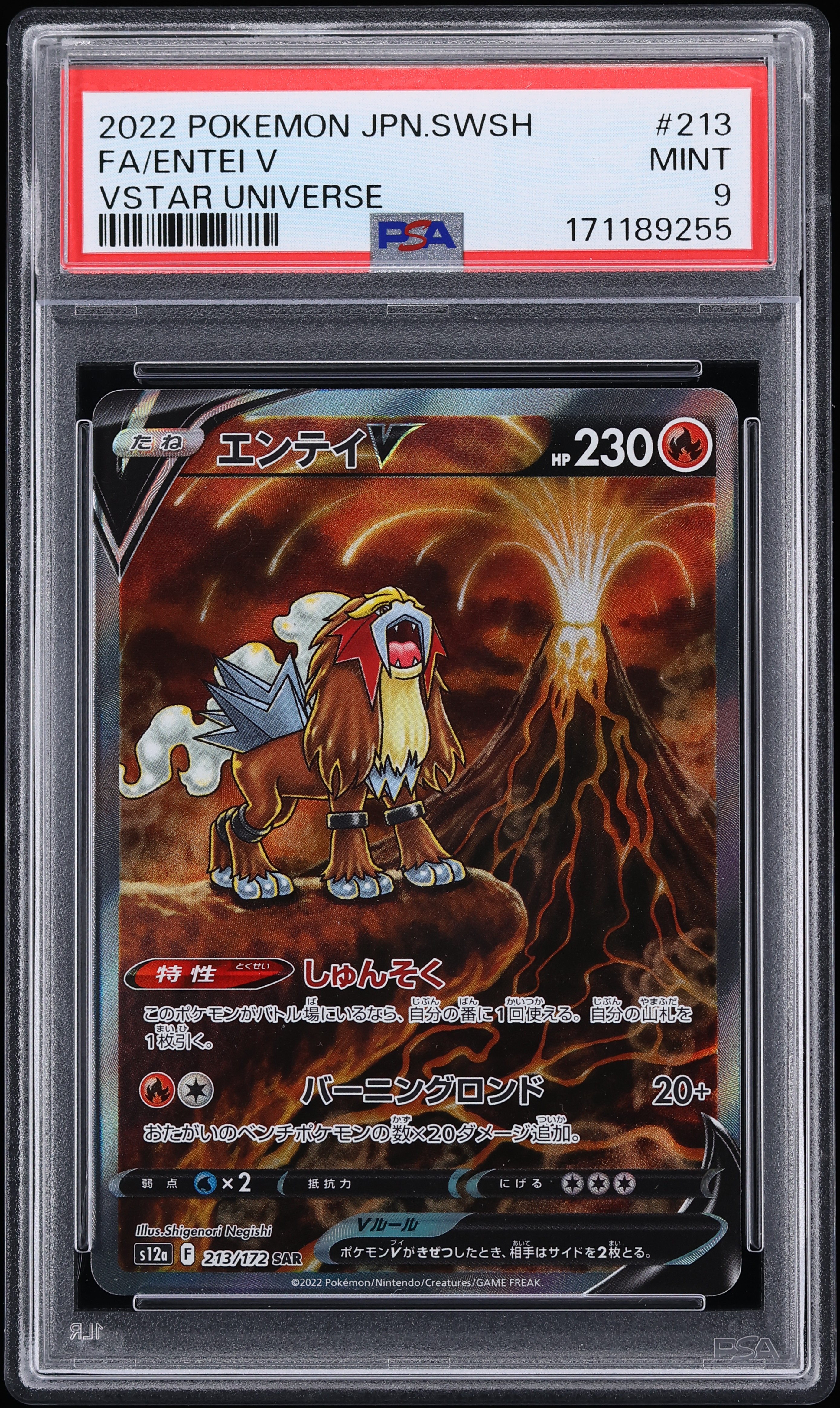 2022 Pokemon Japanese Sword & Shield VSTAR Universe SAR Entei V #213 PSA 9 MINT
