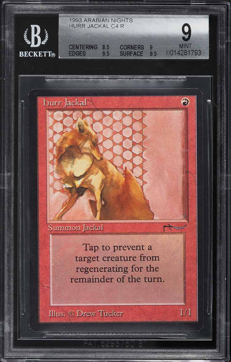 1993 Magic The Gathering MTG Arabian Nights Hurr Jackal C4 R BGS 9 MINT
