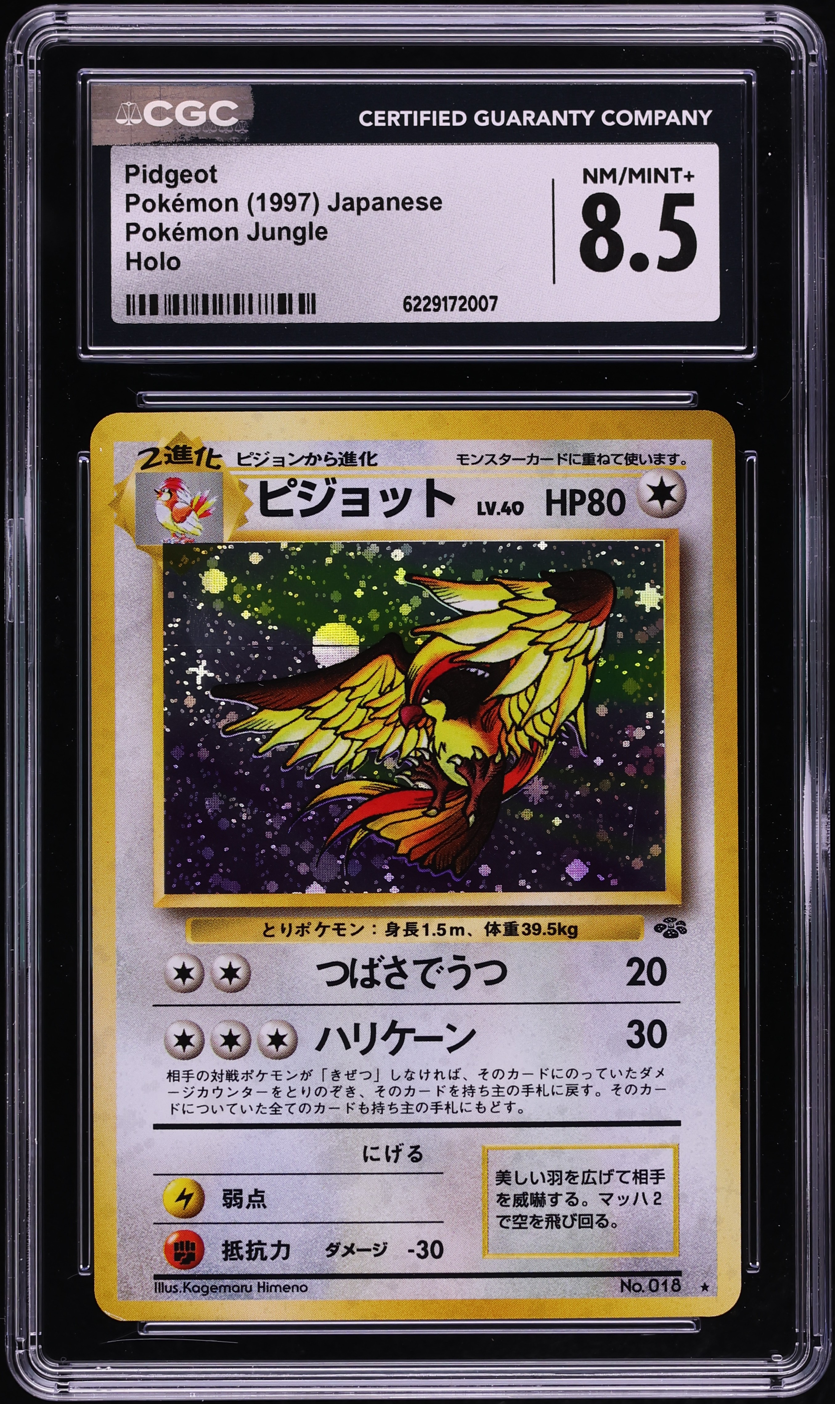 1997 Pokemon Japanese Jungle Holo Pidgeot #18 CGC 8.5 NM-MT+
