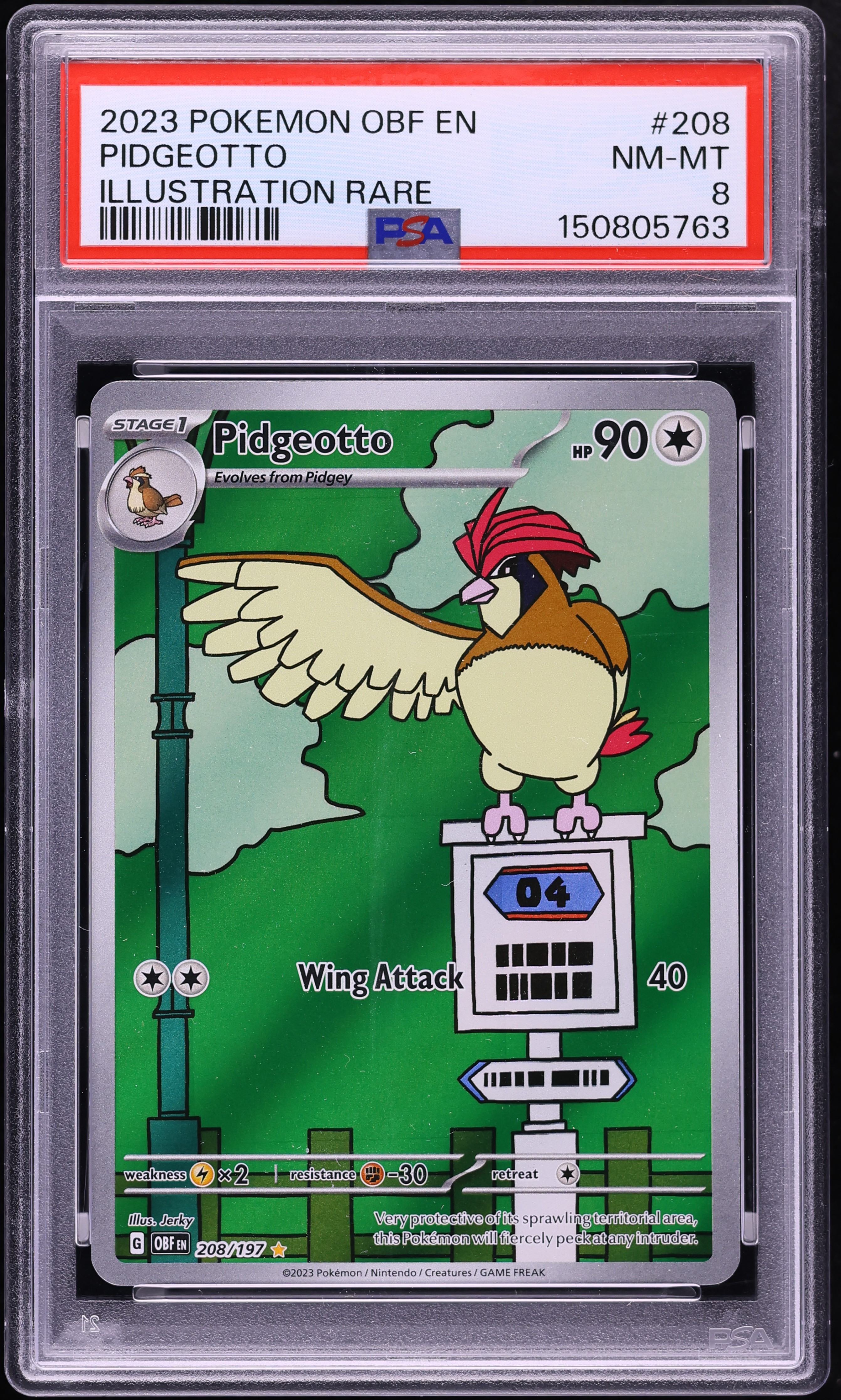 2023 Pokemon Scarlet & Violet Obsidian Flames IR Pidgeotto #208 PSA 8 NM-MT
