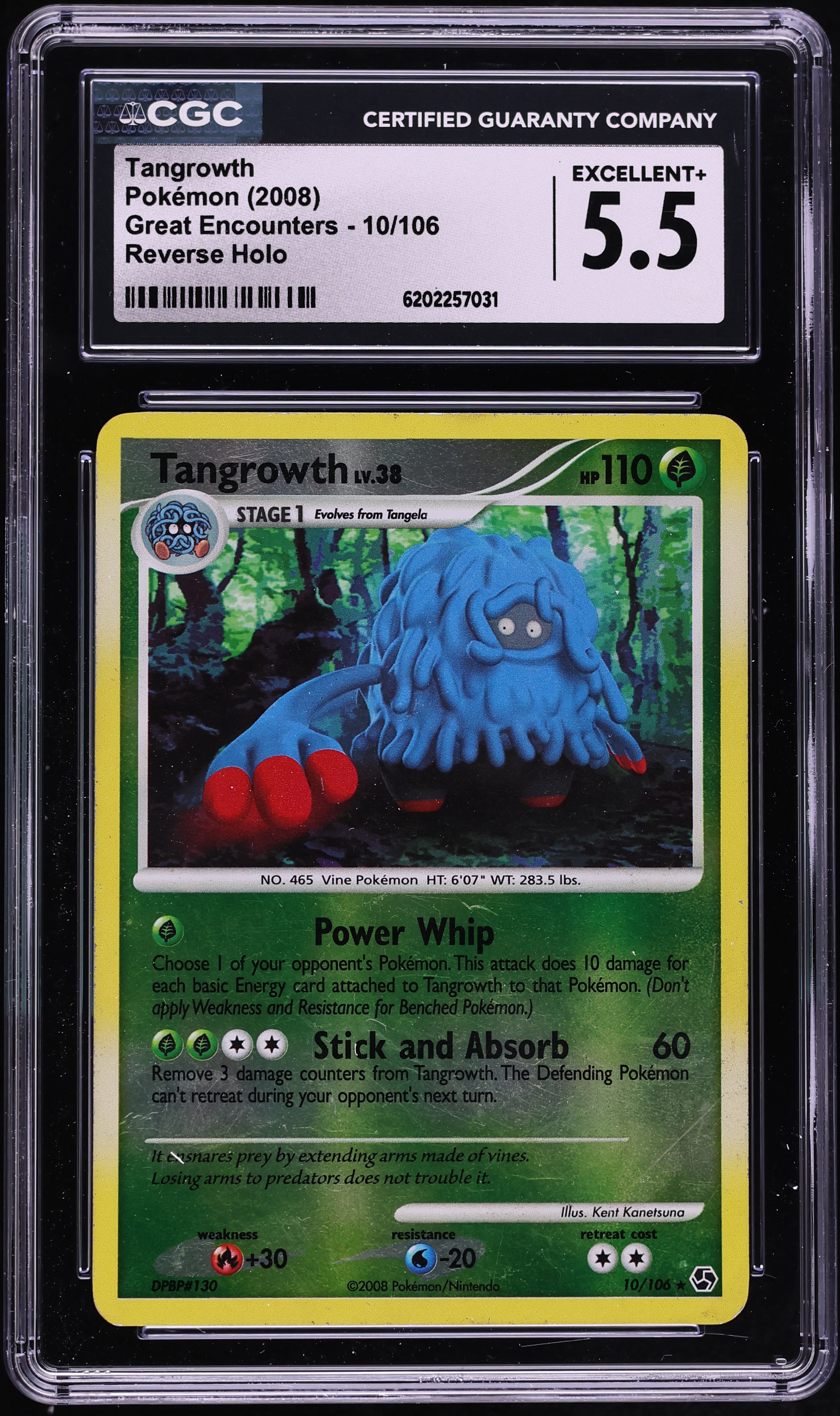 2008 Pokemon Diamond & Pearl Great Encounters Reverse Holo Tangrowth #10 CGC 5.5 EX+