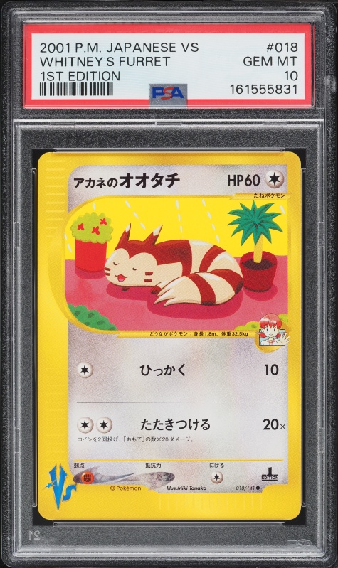 アカネのオオタチ PSA