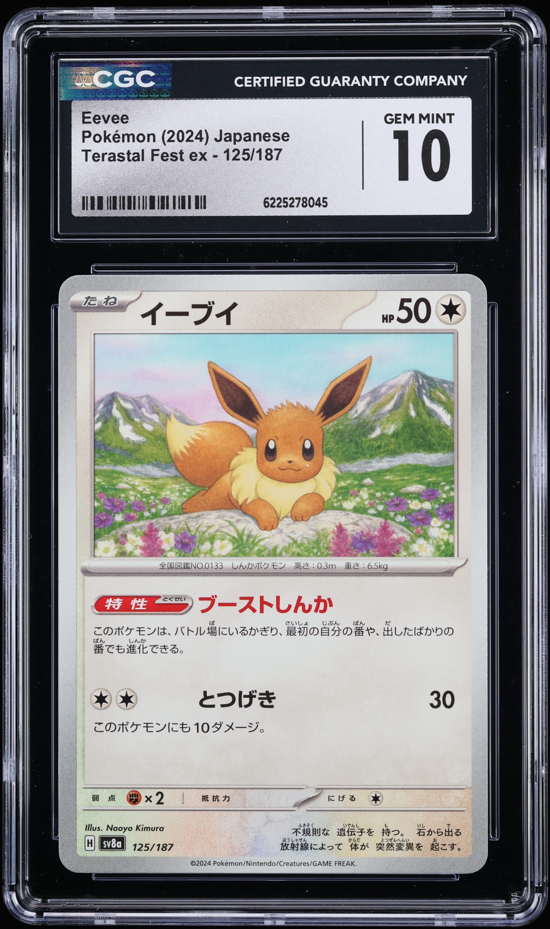 2024 Pokemon Japanese Scarlet & Violet Terastal Fest Ex Eevee #125 CGC 10 GEM MINT