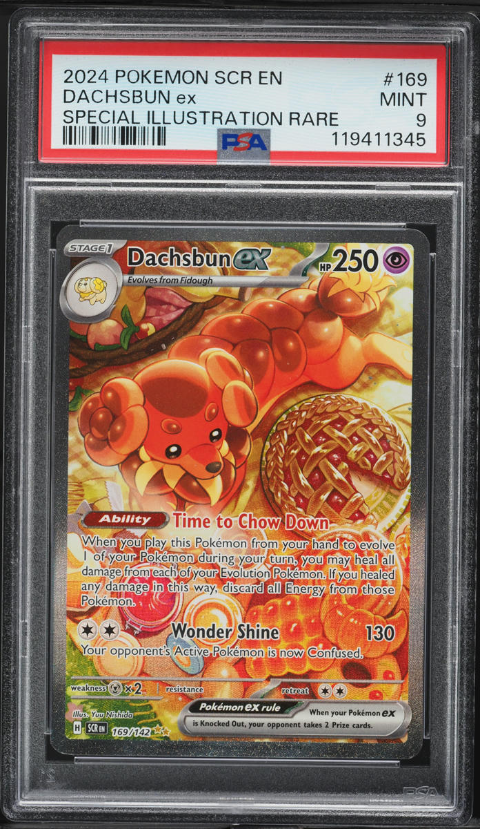 2024 Pokemon Scarlet & Violet Stellar Crown SIR Dachsbun ex #169 PSA 9 MINT