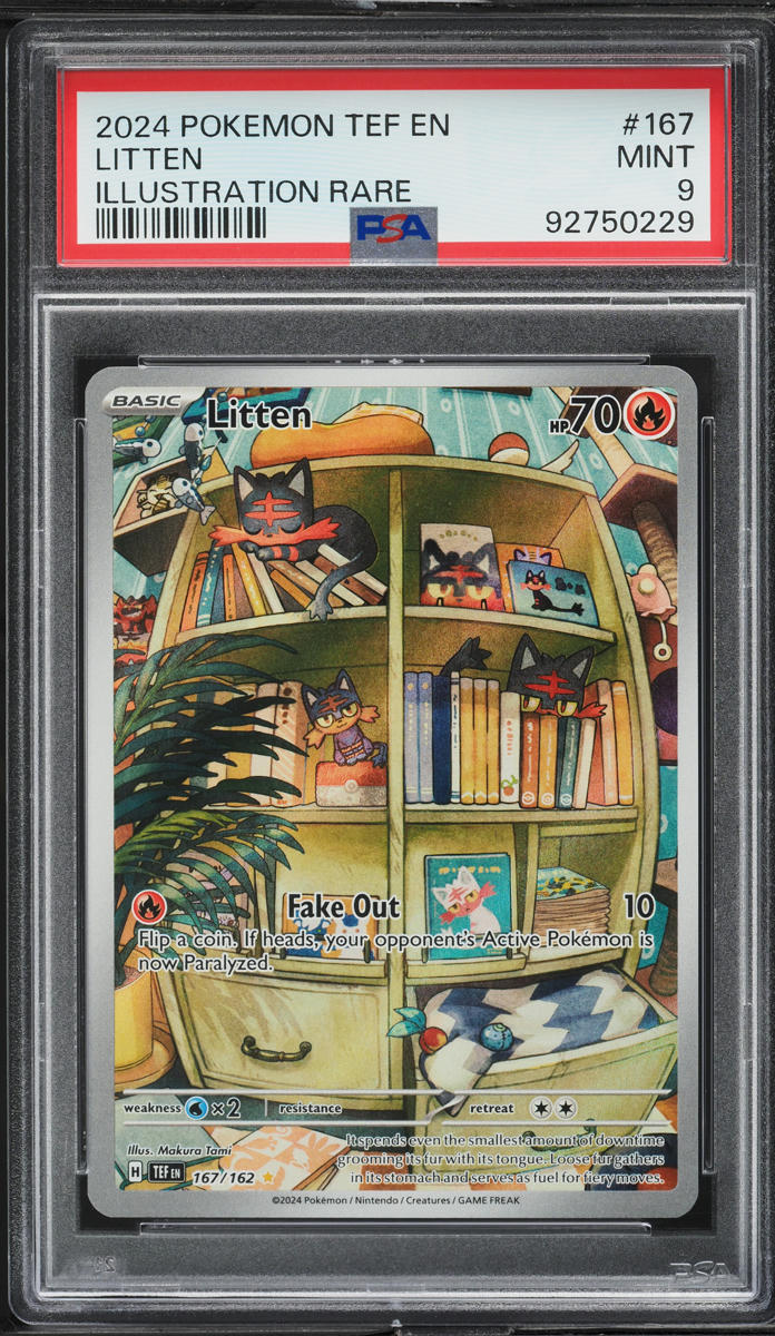 2024 Pokemon Scarlet & Violet Temporal Forces IR Litten #167 PSA 9 MINT