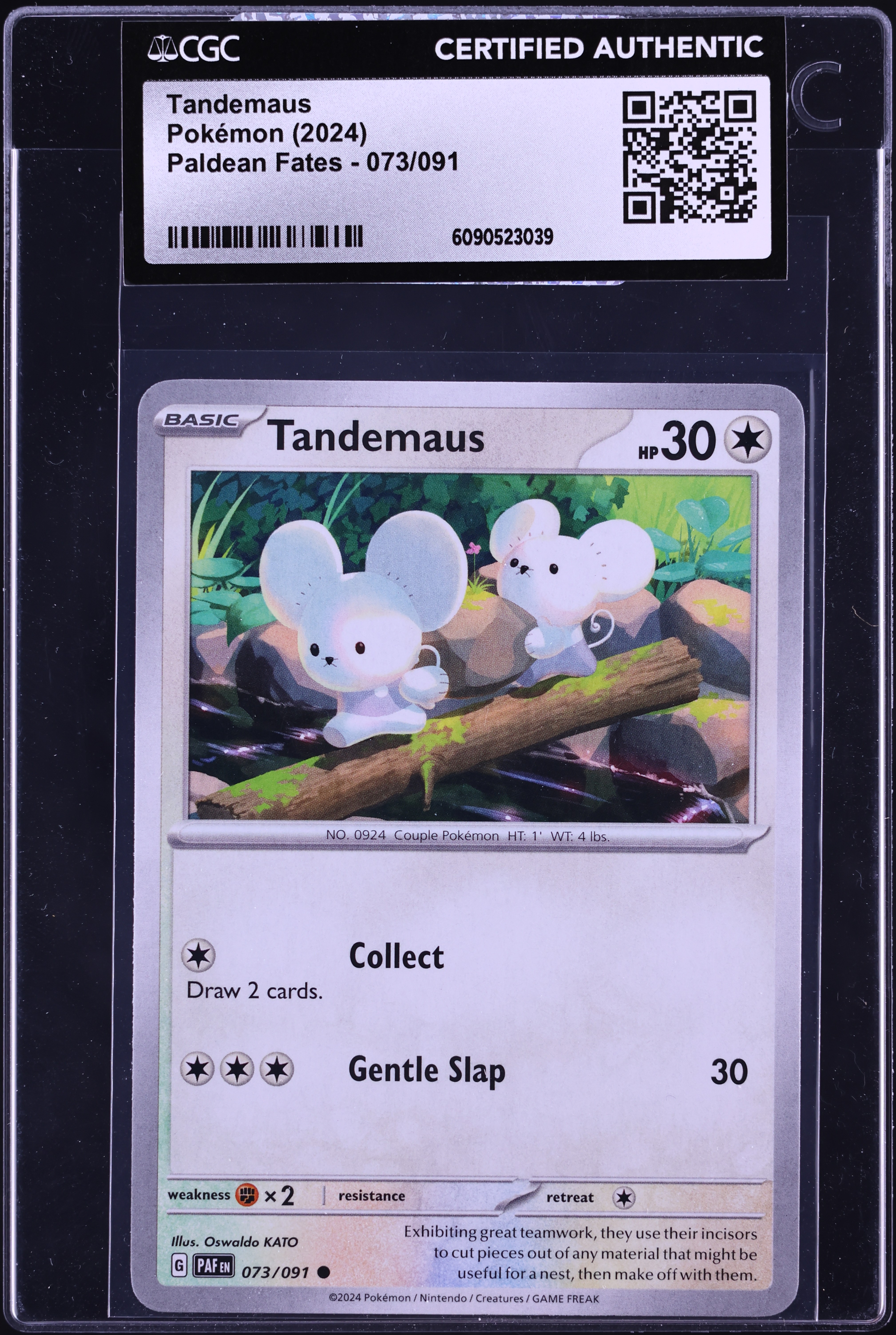 2024 Pokemon Scarlet & Violet Paldean Fates Tandemaus #73 CGC AUTH