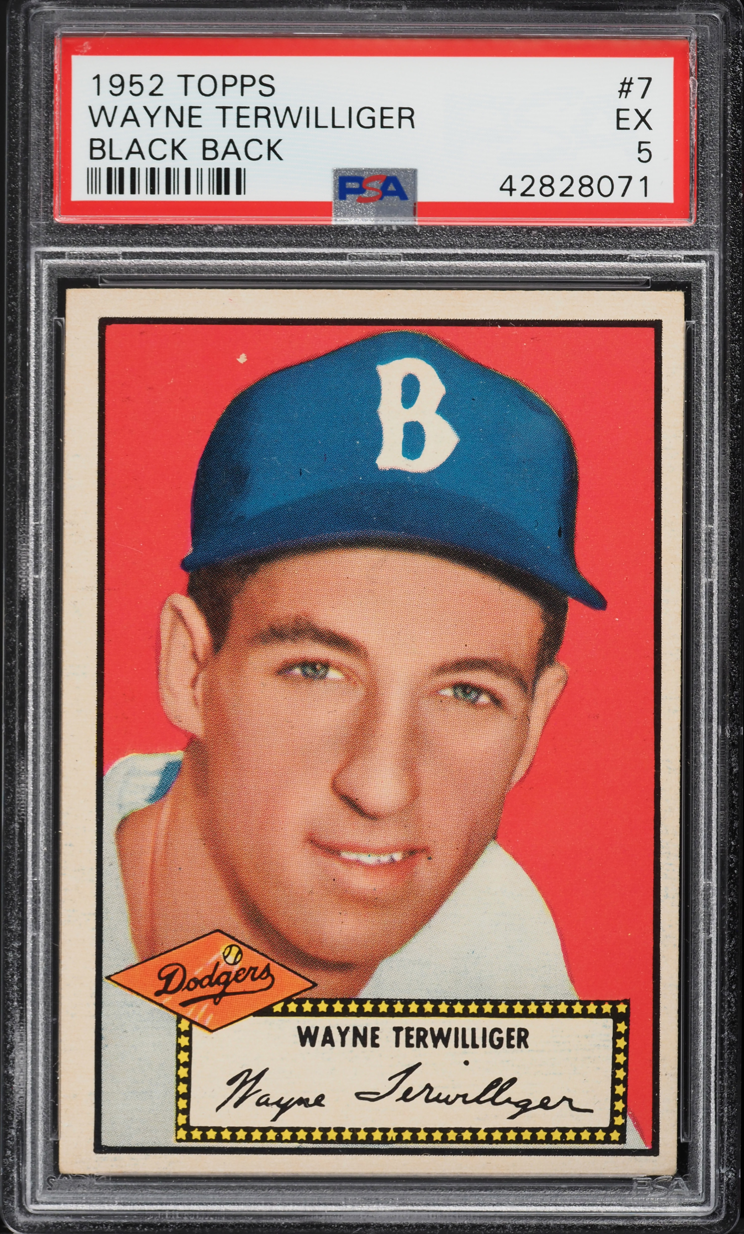 1952 Topps Wayne Terwilliger BLACK BACK #7 PSA 5 EX