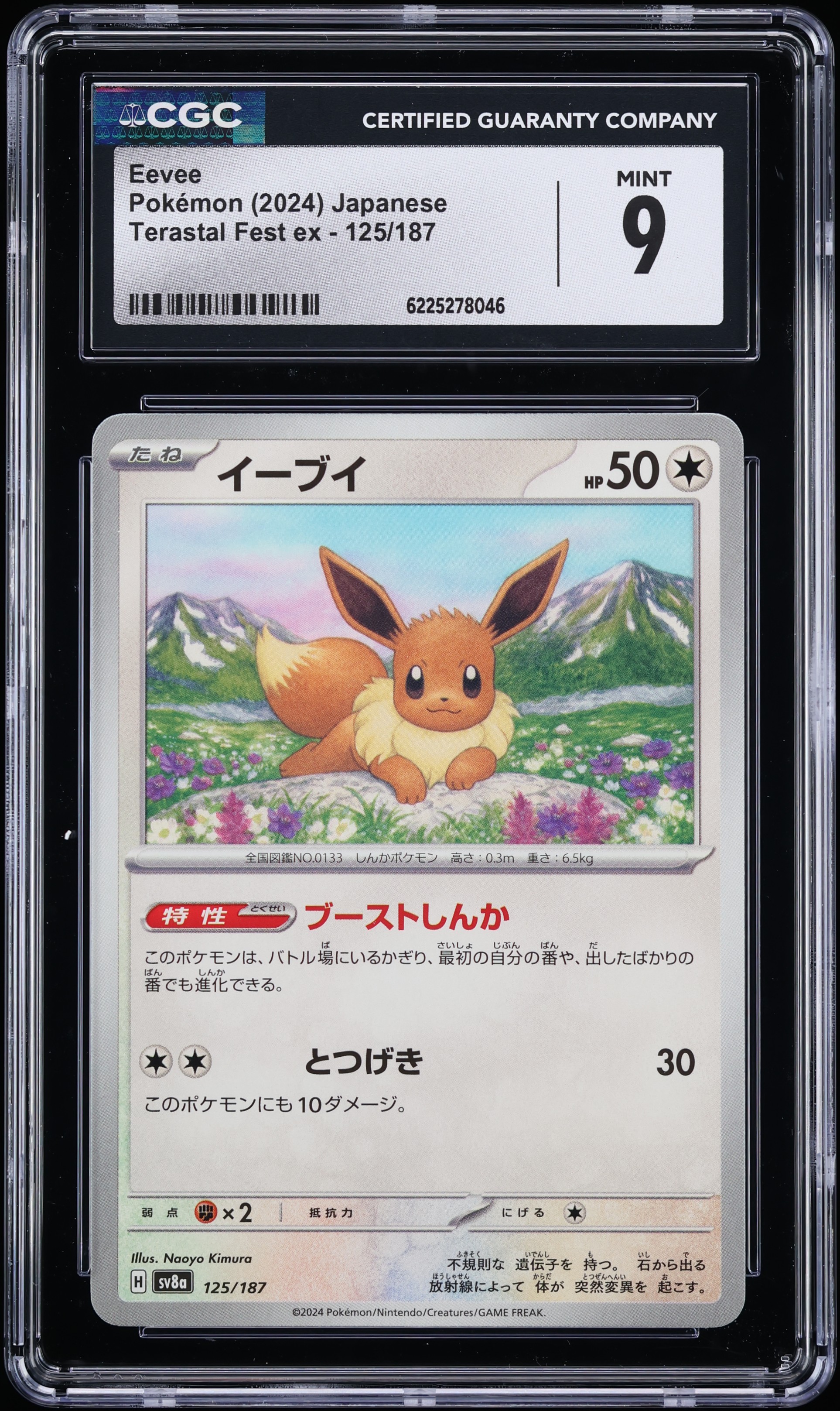 2024 Pokemon Japanese Scarlet & Violet Terastal Fest Ex Eevee #125 CGC 9 MINT