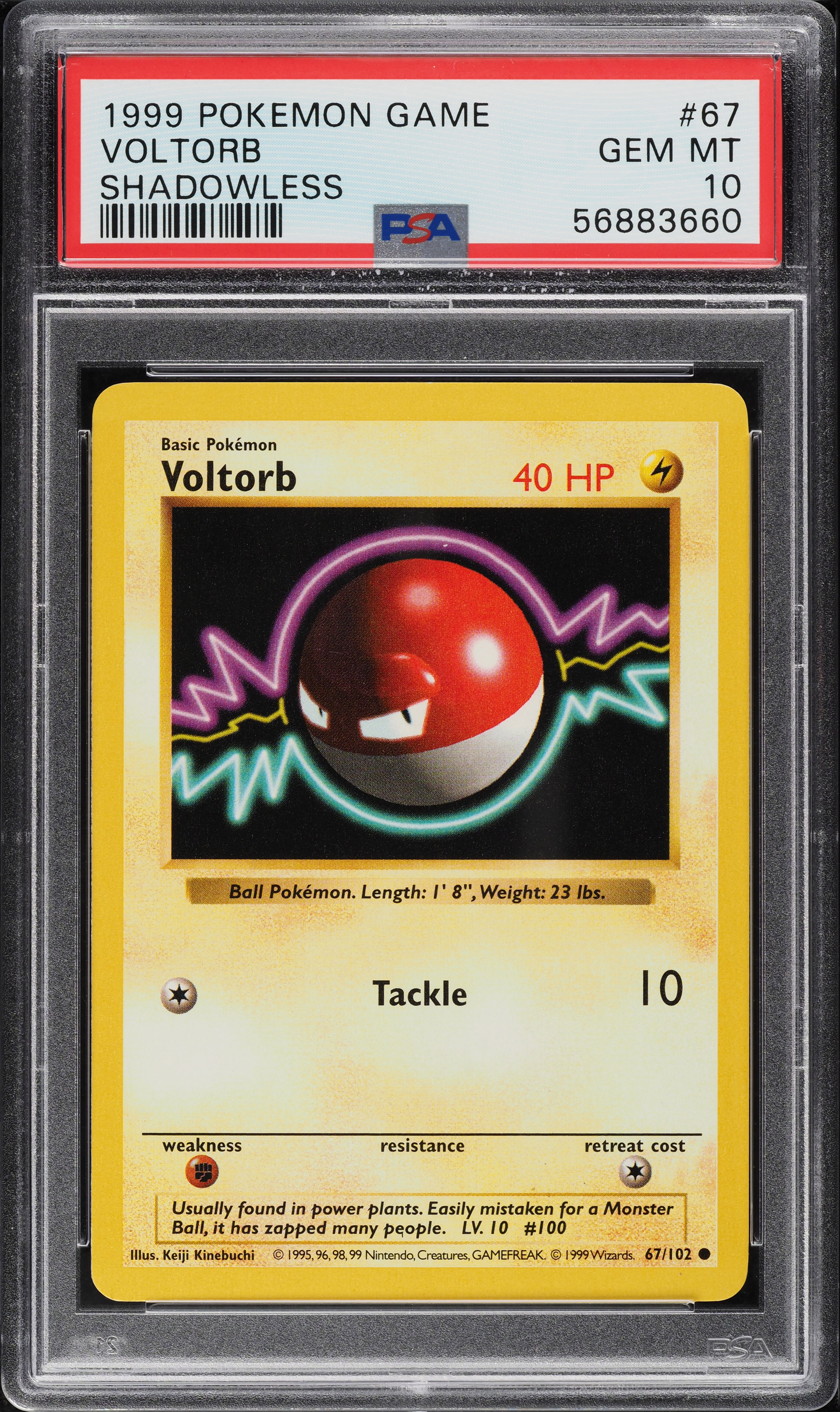 1999 Pokemon Base Set Shadowless Voltorb #67 PSA 10 GEM MINT