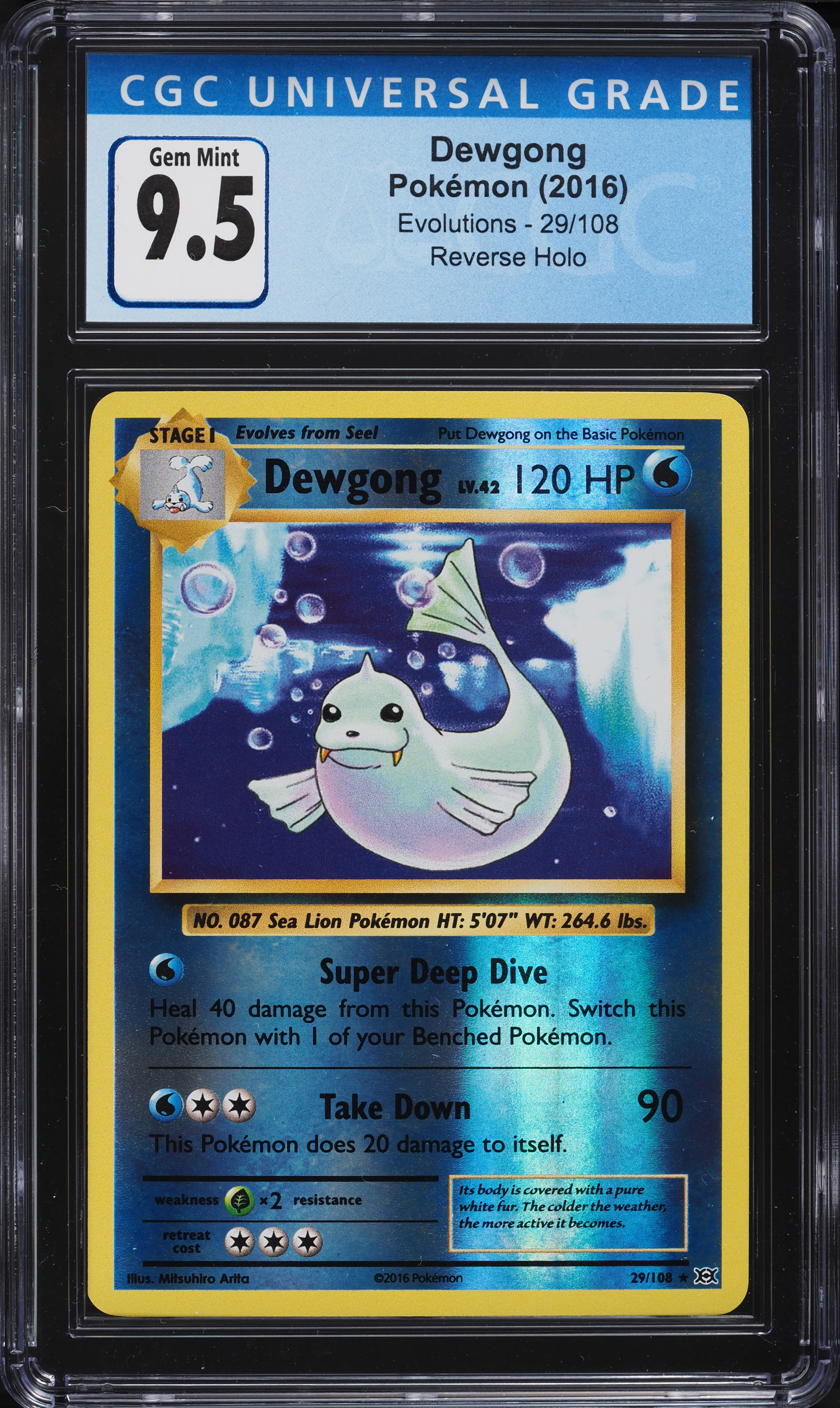 2016 Pokemon XY Evolutions Reverse Holo Dewgong #29 CGC 9.5 GEM MINT