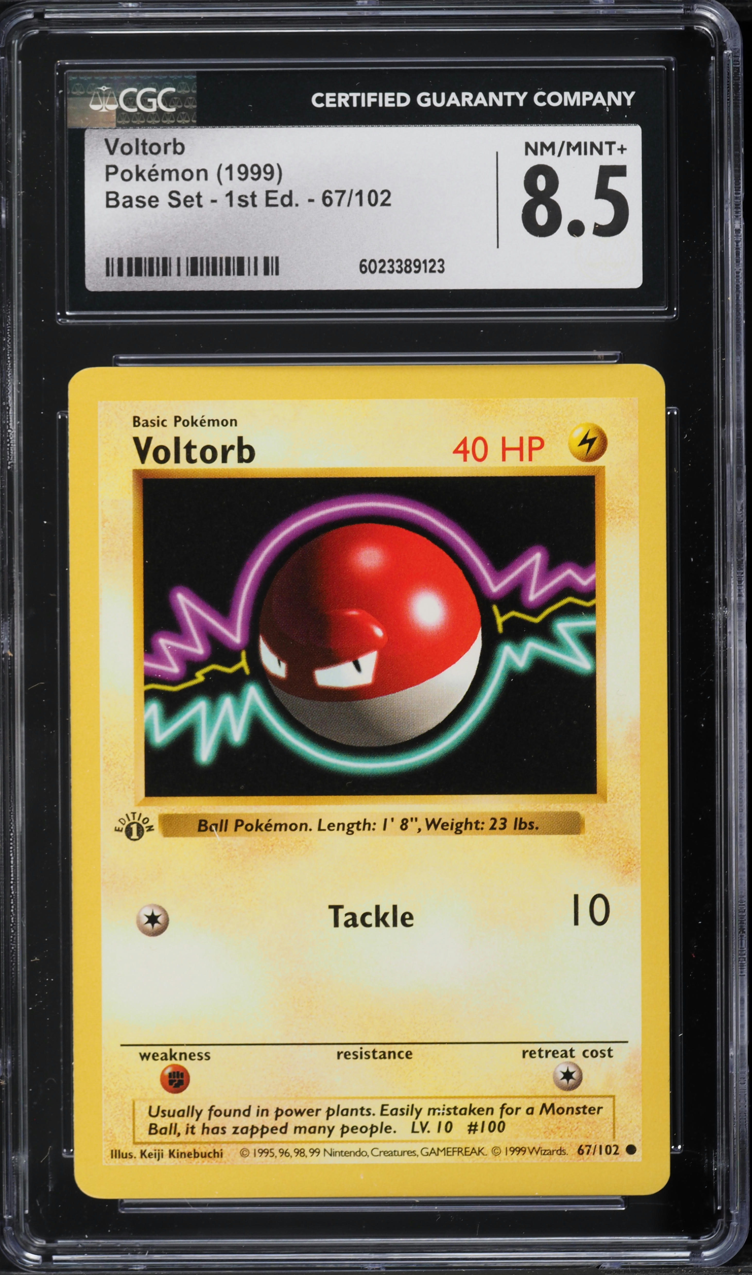 1999 Pokemon Base Set Shadowless 1st Edition Voltorb #67 CGC 8.5 NM-MT+